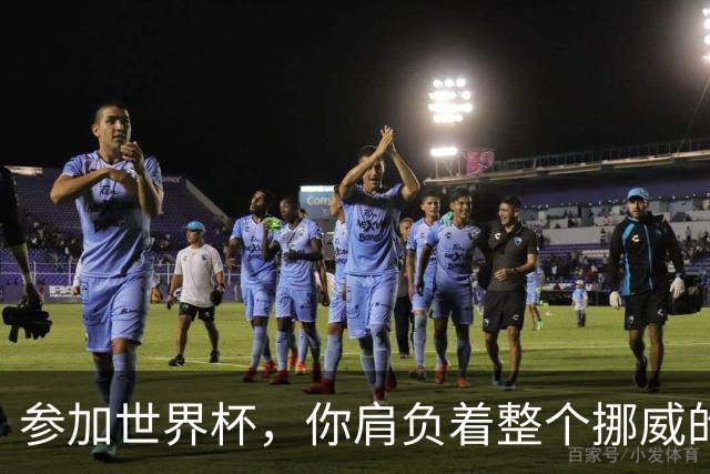 参加世界杯，你肩负着整个挪威的期望！哈兰德：我喜欢这样