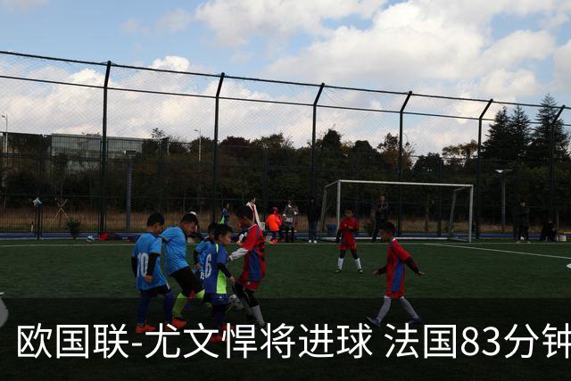 欧国联-尤文悍将进球 法国83分钟丢球平克罗地亚
