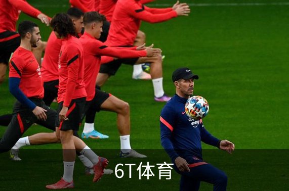 关于6T体育